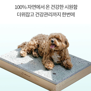 [서랍형] 강아지 대리석 쿨매트 고양이 천연 대리석 돌침대 대리석 편백프레임 세트