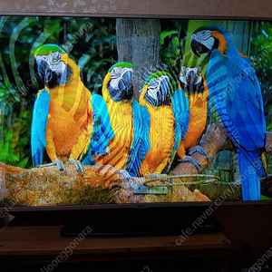 lg55인치led tv 부산입니다