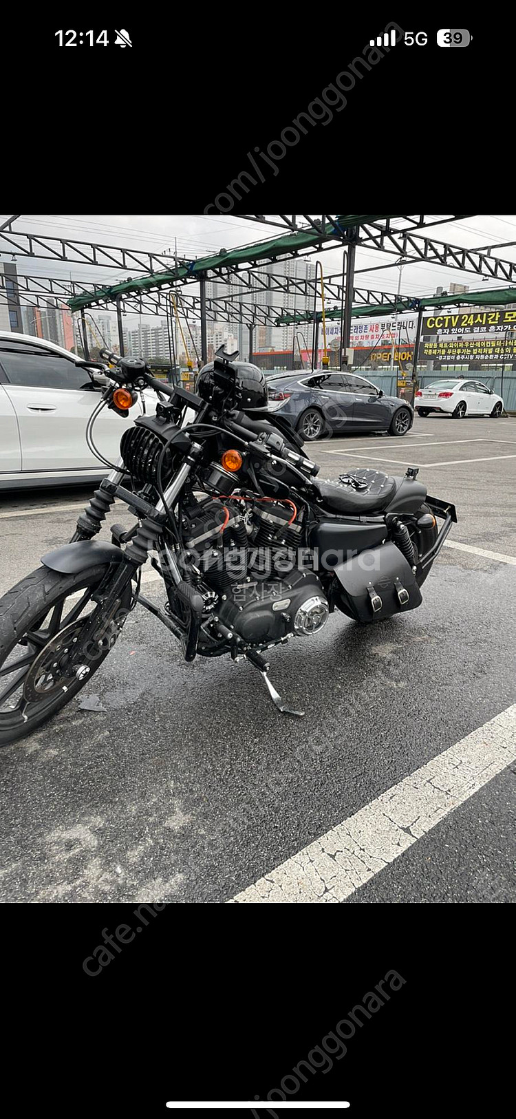 할리데이비슨 아이언883 무광블랙 바버풀커스텀--6
