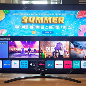 LG 65인치 나노셀 4K UHD 스마트 TV(65SM9000)