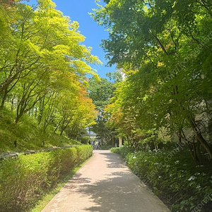 오늘 급 여행가실분 리조트양도!