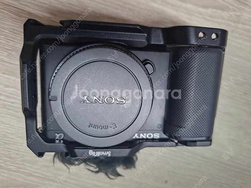 A7M4 ZV-E10 삼양12mm 24.8 시그마 35...--8
