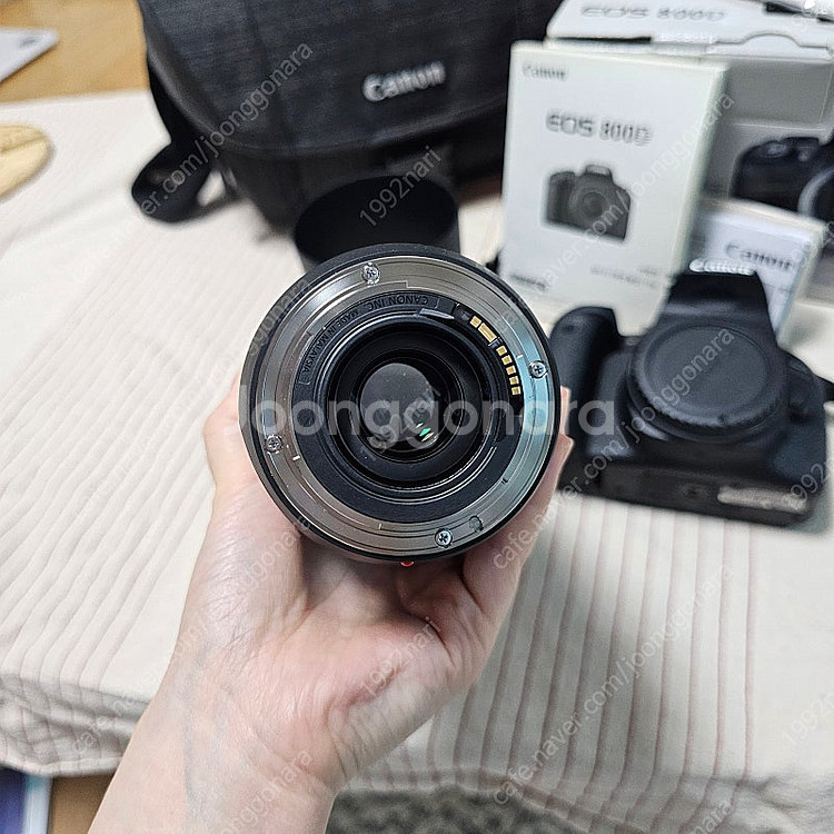 입문자용 캐논 EOS800D + 70-300망원 +50...--1
