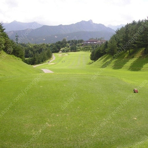 한화리조트(용인,설악,제주) 주중 그린피 무료권