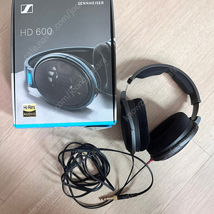 젠하이져 hd600