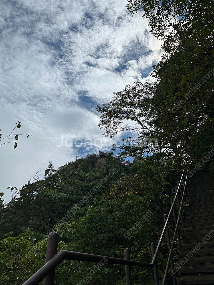 문워크 동백--0