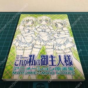 가이낙스 애니메이션 이 사람이 나의 주인님 원화집 아트북 화집 화보집 판매합니다