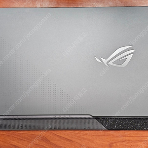 ASUS ROGSTRIX G713RW LL102 팝니다