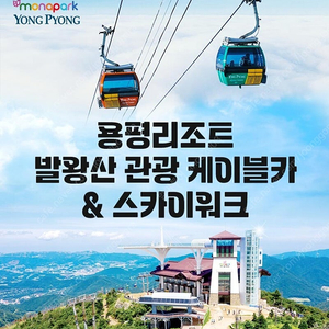 [용평숙박~발왕산케이블카~피크아일랜드~딥다이브~마운틴코스터