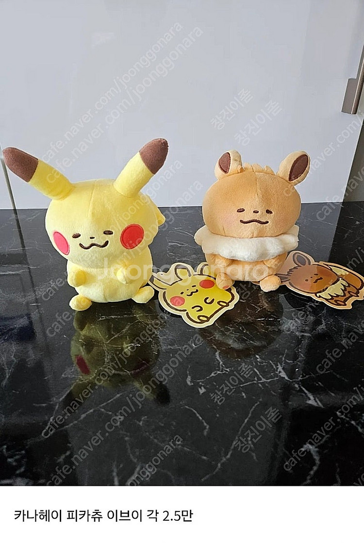 포켓몬스터 정품 인형 한정판 포켓몬인형 판매--2