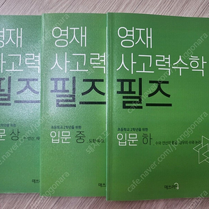 영재 사고력수학 필즈 입문