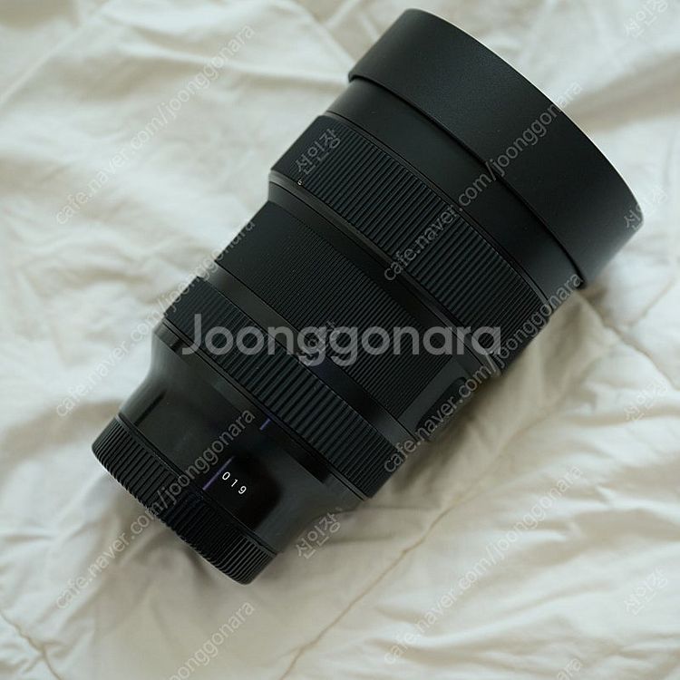니콘 z6, 시그마14-24dgdn, ftz, 70-2...--3