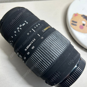 SIGMA 시그마 70-300mm F4-5.6 DG MACRO 캐논