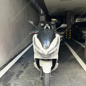 2019년식 Pcx125 배달풀셋팅 급처 초급매