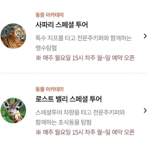 에버랜드 사파리.로스트밸리스페셜투어 9월22일