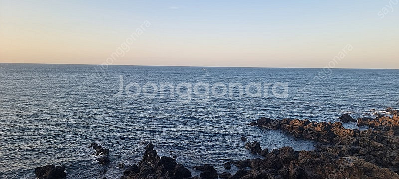 리니지m 뱅가드 사전예약쿠폰 레거시 리부트 한세트--0
