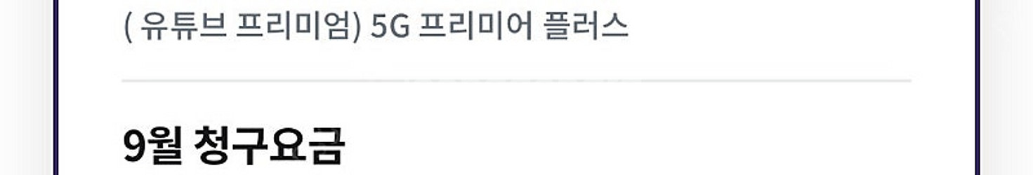 개인 최저가 lg유플러스 데이터2기가 2900원--0