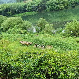 전남 곡성 나룻배 팝니다