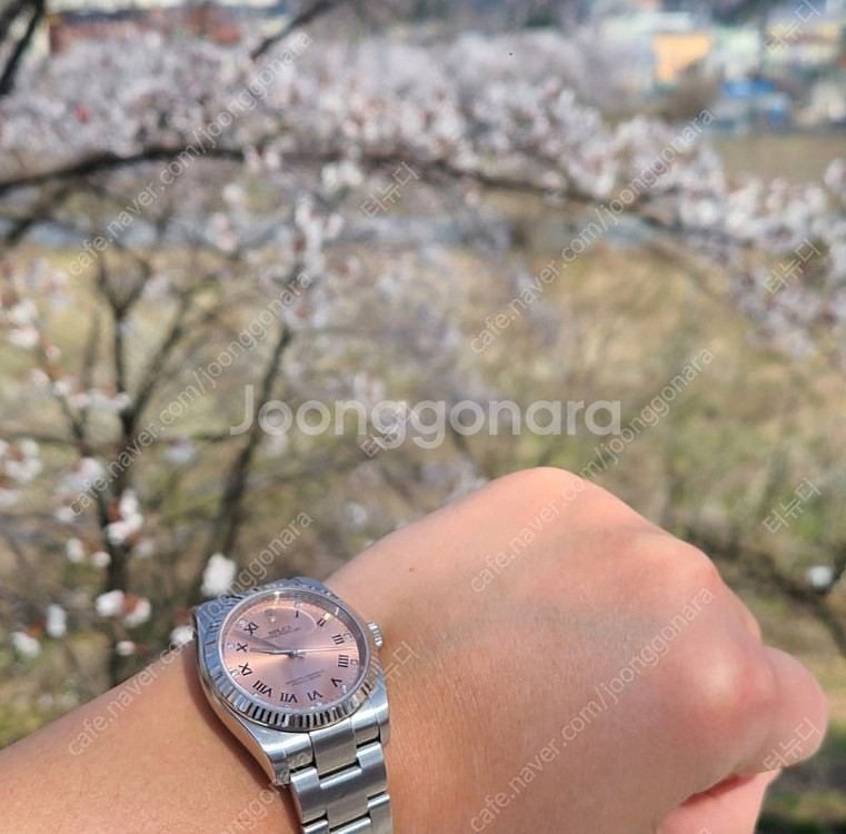 롤렉스 116034 11p 로만 다이아 핑크 풀셋--1