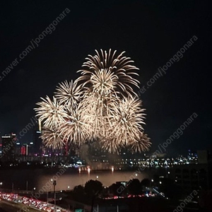 10.5 여의도 불꽃축제 용산 한강파티룸 팝니다