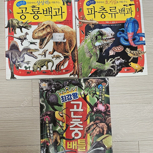 파충류책