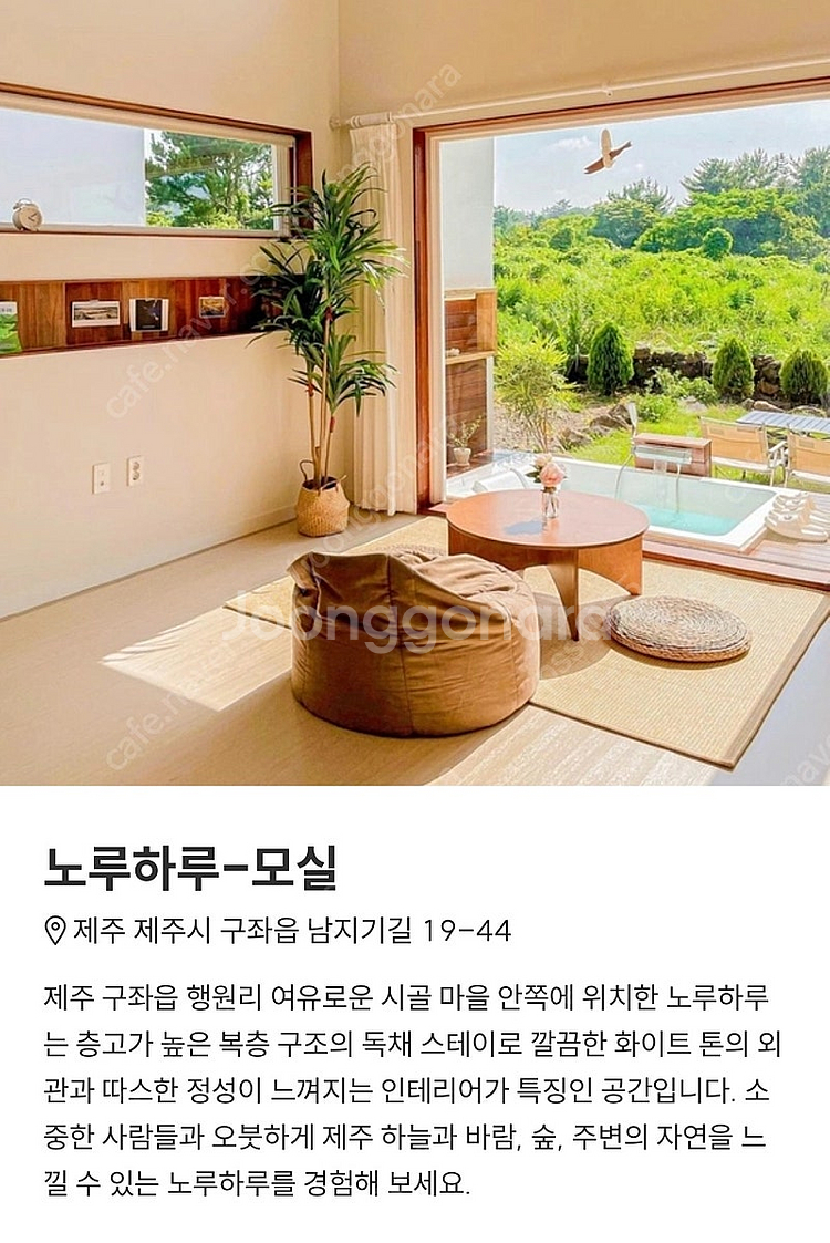 제주도 “노루하루“ 숙소 급하게 양도합니다!!--1