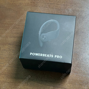 닥터드레 애플 파워비츠 프로(Apple PowerBeats Pro) - 블루투스 이어폰