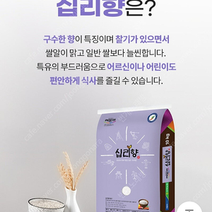 선착순)예담채 십리향 쌀10kg 무료배송29900원 당일도정