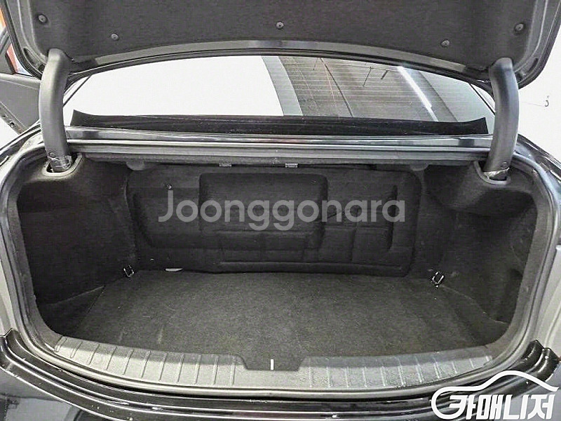 현대 [현대]그랜저 HG LPG HG300 PREMIU...--9