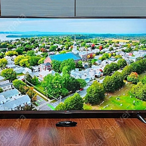 lg 55인치 tv