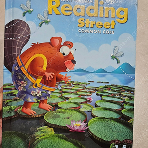 reading street common core 1.5 가격내림