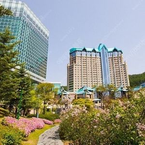 [판매] 9월 20일 하이원 메인타워호텔 , 컨벤션 호텔 판매 합니다 10만원