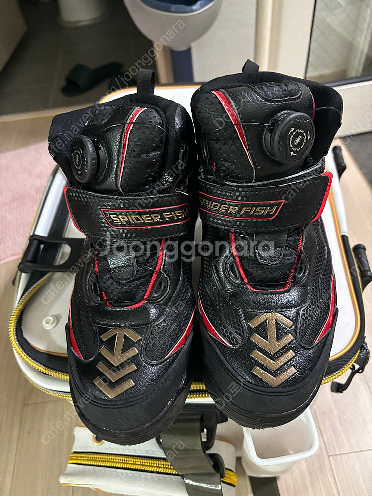 스파이더 피쉬 갯바위 펠트화 낚시신발 250--0