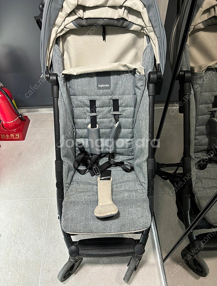 잉글레시나 퀴드2(2023년 구매)--0