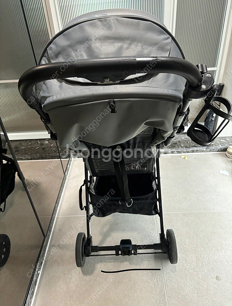 잉글레시나 퀴드2(2023년 구매)--1