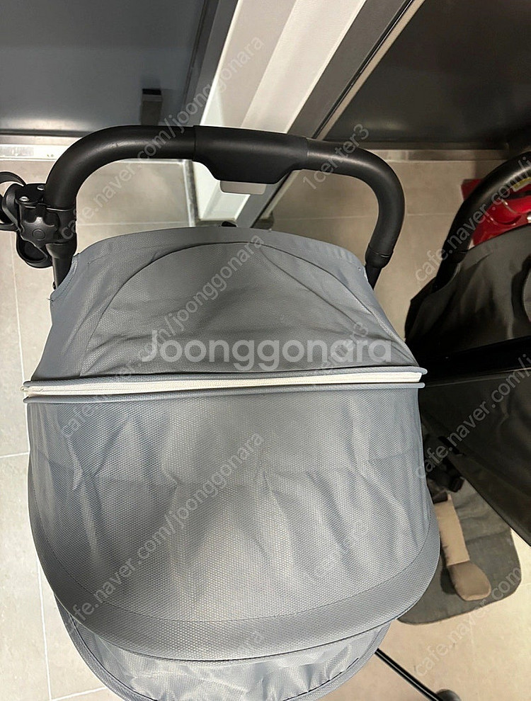 잉글레시나 퀴드2(2023년 구매)--2