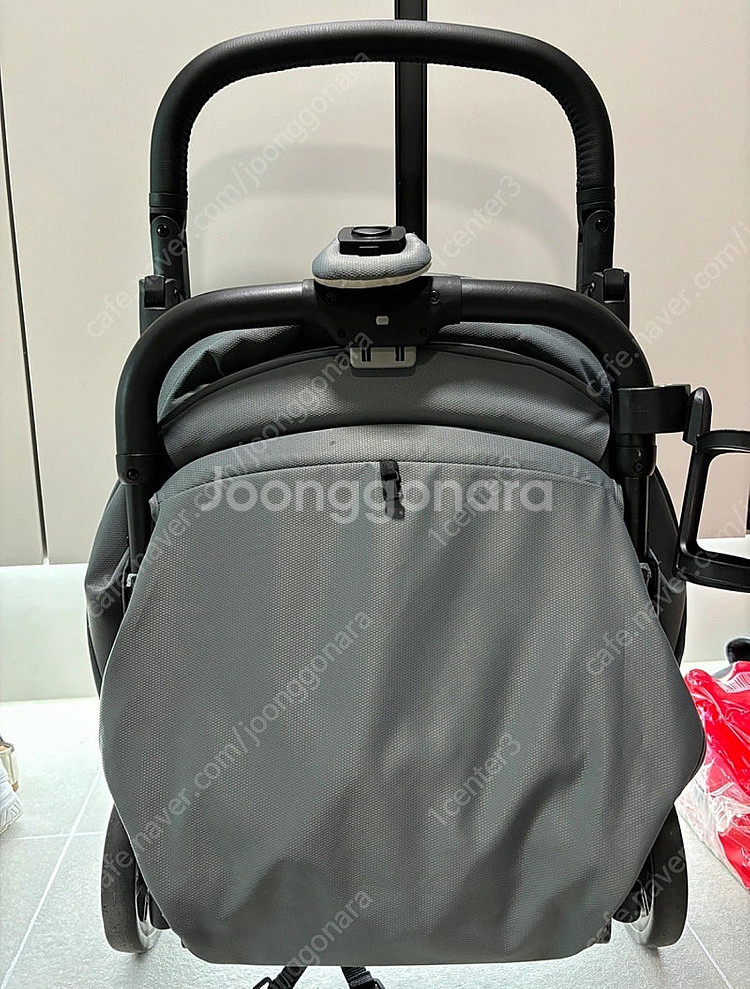 잉글레시나 퀴드2(2023년 구매)--3