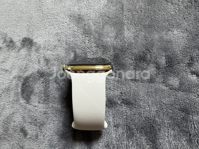 애플워치8 스테인리스 스틸 45mm 골드--5