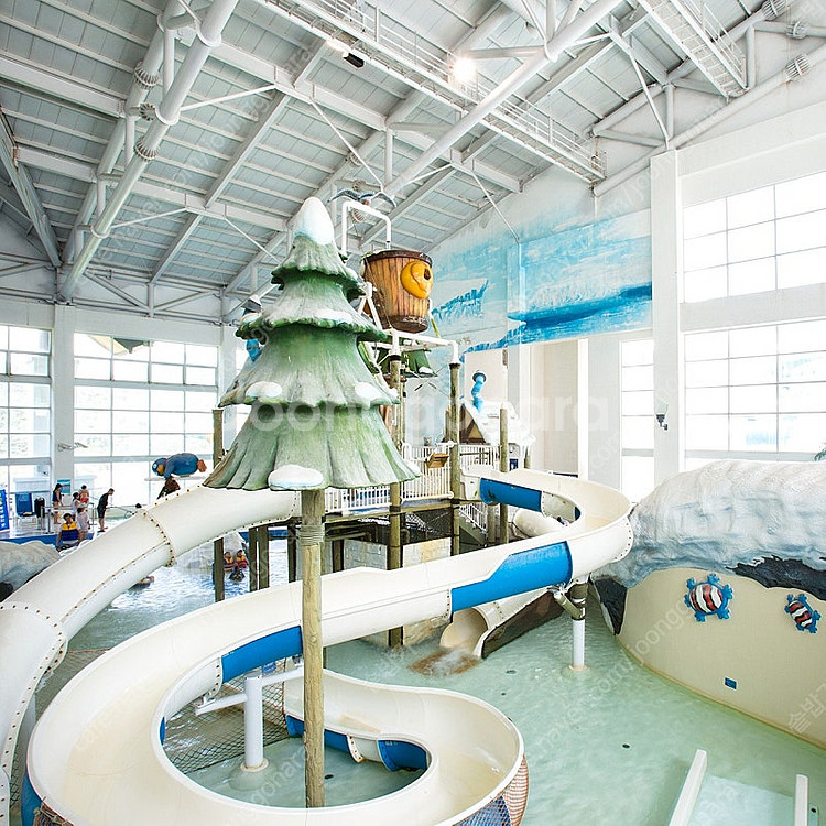 용평 워터파크 대인 종일권--0