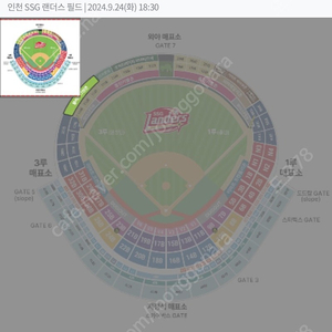 [할인양도] 9월 24일(화) SSG vs LG 몰리스 그린존 2매 할인양도합니다.