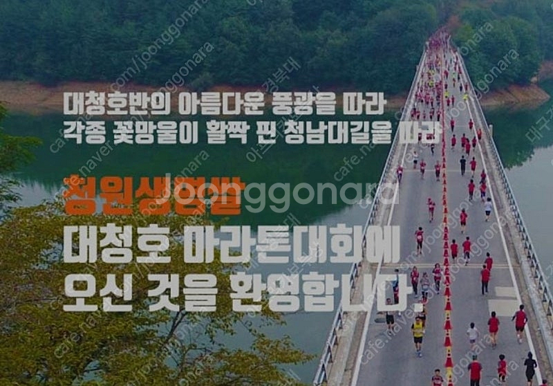 청원생명쌀 대청호마라톤대회 하프코스 남자 배번 구해봅니...--0