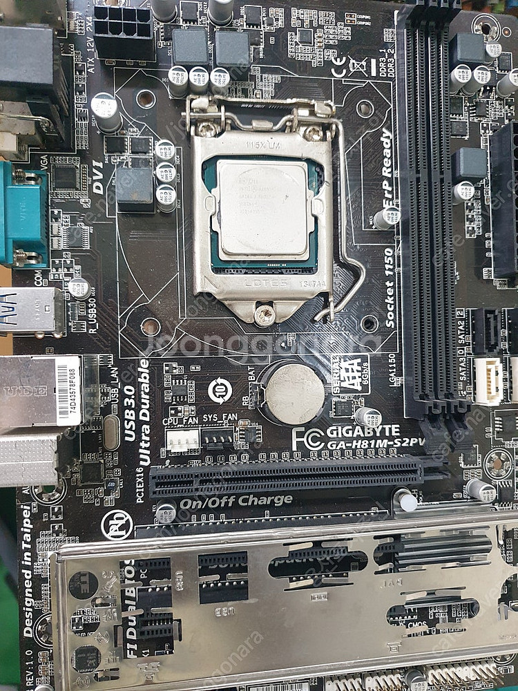E3 1231 v3 (i7 4790 동급) + 기가 h...--0