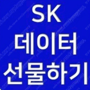 SK데이터 1G씩팝니다 2G구입시 더싸게