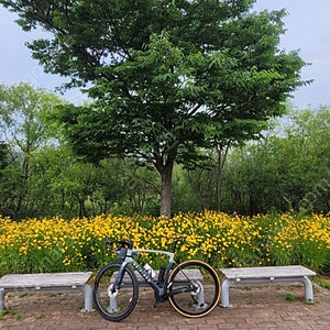 리파인드4 울테그라 풀카본 로드