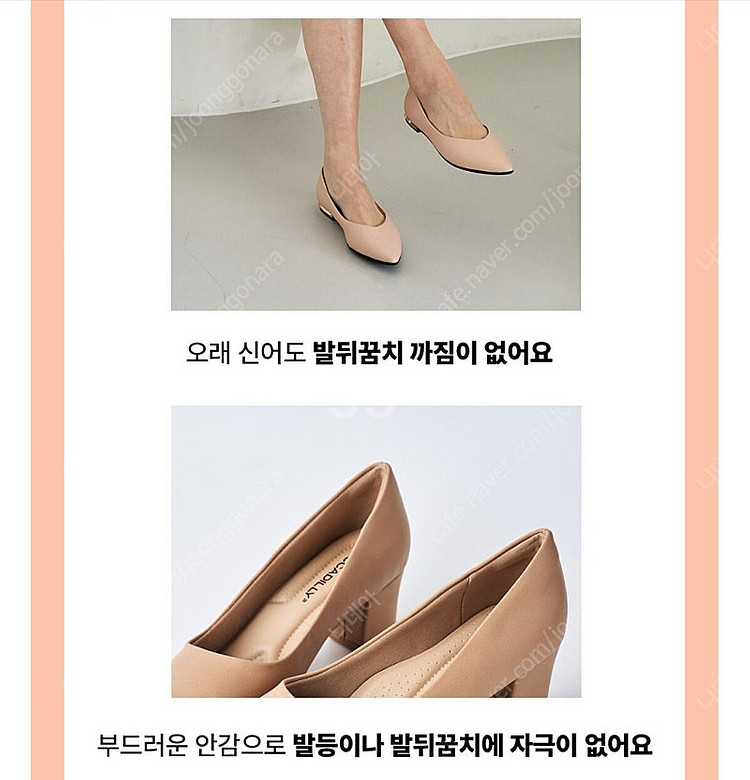 피카딜리 라운드 6.5cm 250~255 (EU39)--2