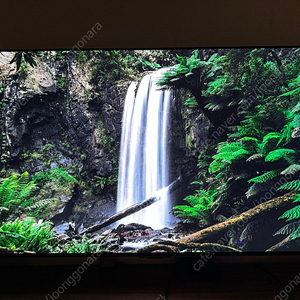 LG OLED 42C3 게이밍 모니터 TV