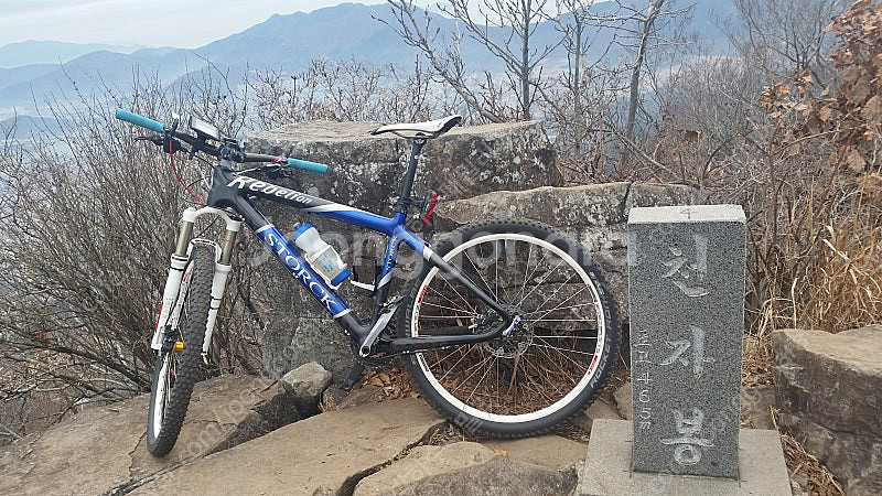 독일 자전거 스톡 mtb--3