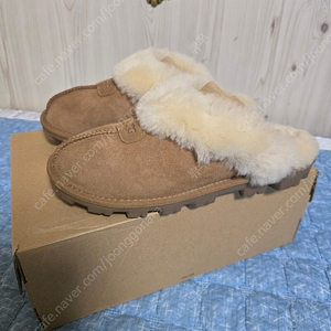 어그 UGG 코게트 체스넛 240 판매합니다