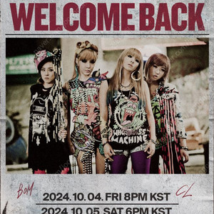 투애니원 2ne1 막콘 스탠딩 40x 4연석