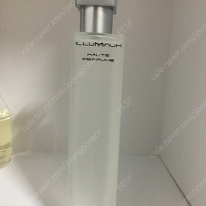 일루미넘 타이프 로즈 EDP 100ml